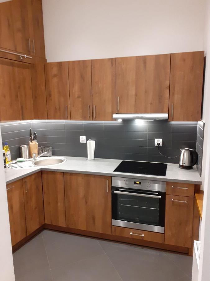 נובי סאוז' Apartament Sobieskiego מראה חיצוני תמונה